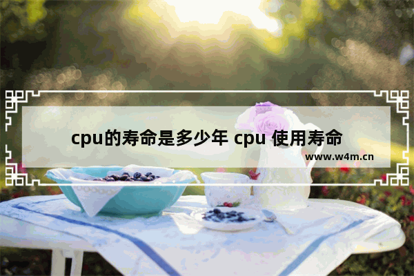 cpu的寿命是多少年 cpu 使用寿命