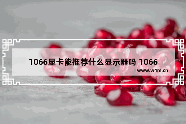 1066显卡能推荐什么显示器吗 1066显卡配什么显示器