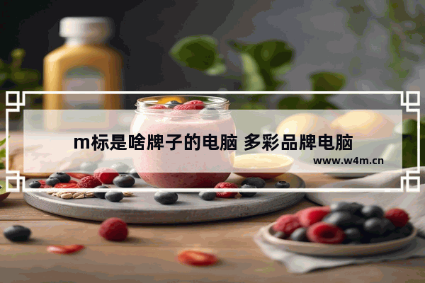 m标是啥牌子的电脑 多彩品牌电脑