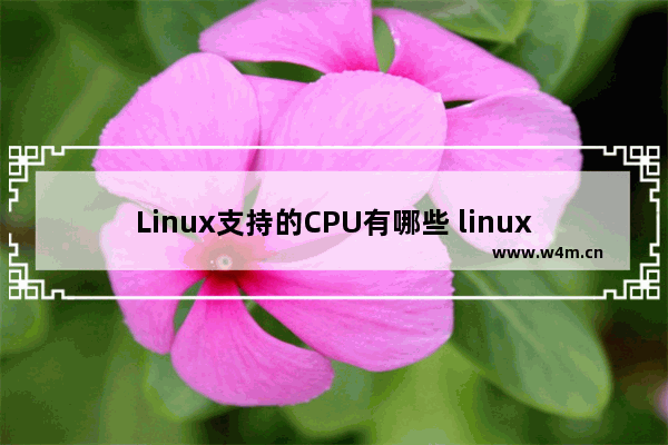 Linux支持的CPU有哪些 linux系统通过命令行查看cpu信息