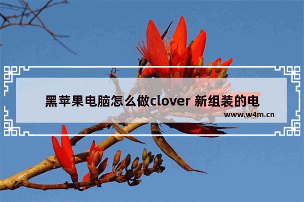 黑苹果电脑怎么做clover 新组装的电脑怎么装黑苹果