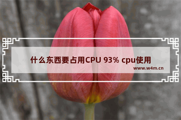 什么东西要占用CPU 93% cpu使用是什么意思