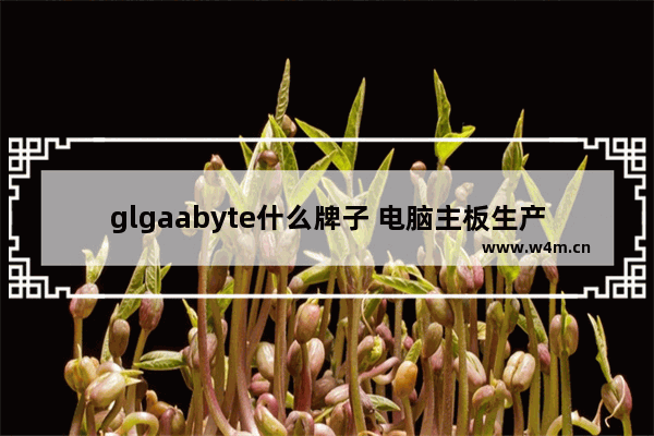 glgaabyte什么牌子 电脑主板生产设备进口品牌