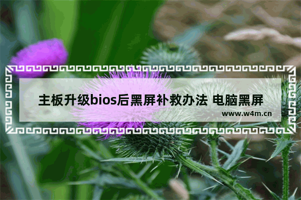 主板升级bios后黑屏补救办法 电脑黑屏显示主板信息错误