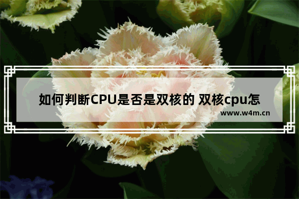 如何判断CPU是否是双核的 双核cpu怎么看