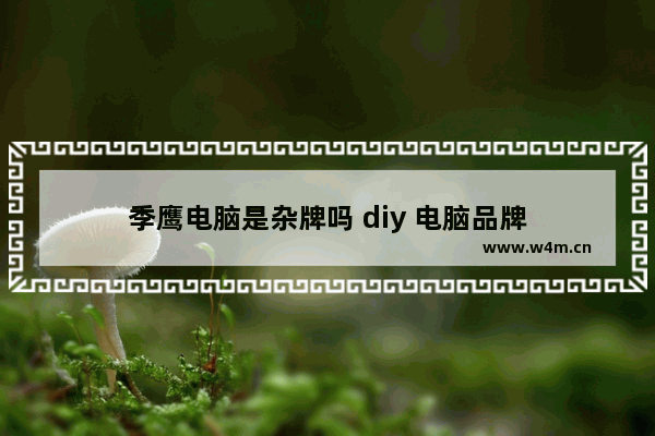 季鹰电脑是杂牌吗 diy 电脑品牌