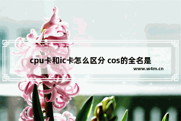 cpu卡和ic卡怎么区分 cos的全名是什么