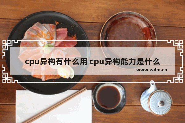 cpu异构有什么用 cpu异构能力是什么意思