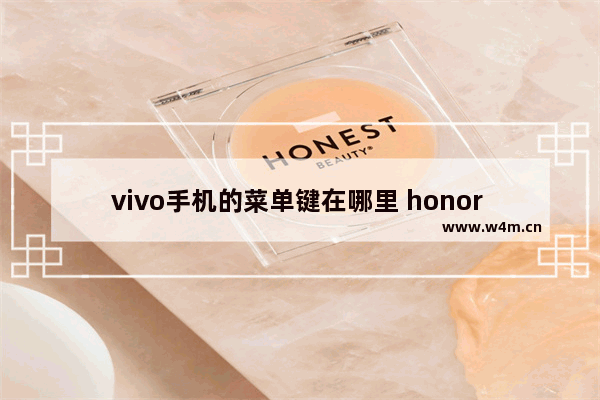 vivo手机的菜单键在哪里 honor 10怎么调出菜单键