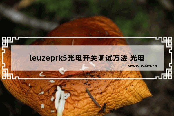 leuzeprk5光电开关调试方法 光电显示器怎么