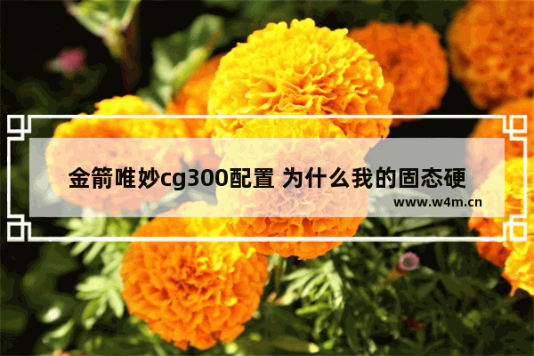 金箭唯妙cg300配置 为什么我的固态硬盘读取速度只有300多 被人可以到500多