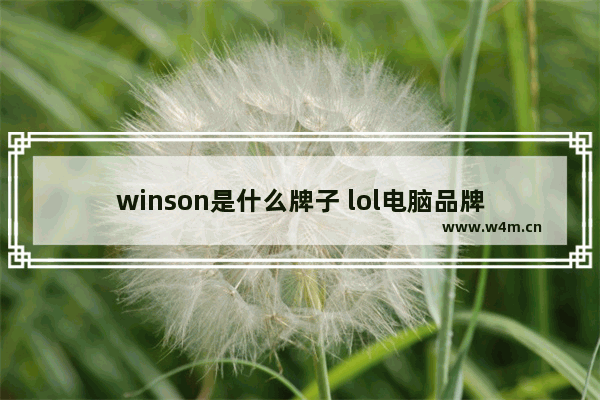 winson是什么牌子 lol电脑品牌