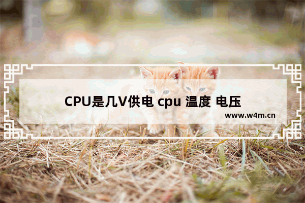 CPU是几V供电 cpu 温度 电压