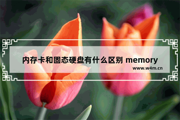 内存卡和固态硬盘有什么区别 memory固态硬盘