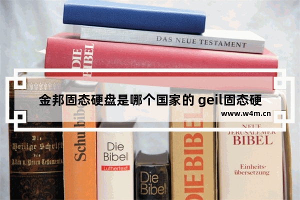 金邦固态硬盘是哪个国家的 geil固态硬盘