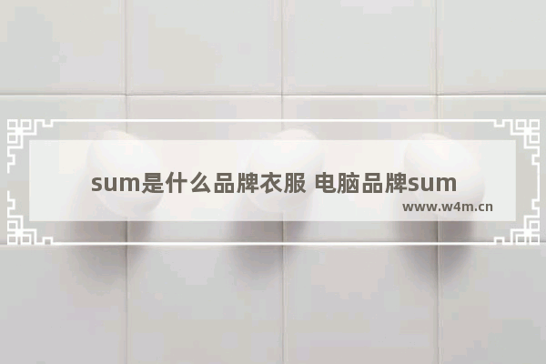 sum是什么品牌衣服 电脑品牌sum