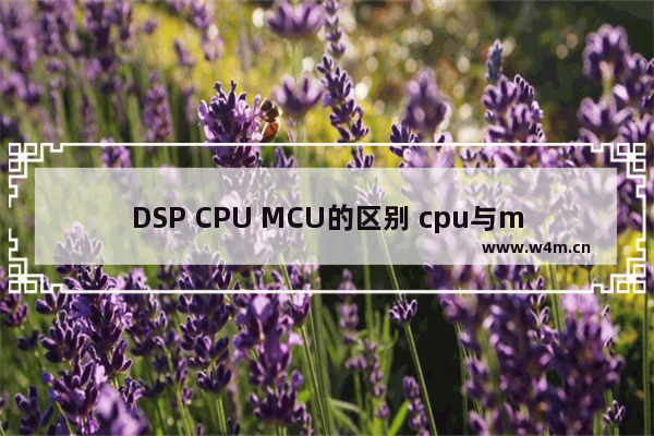 DSP CPU MCU的区别 cpu与mcu