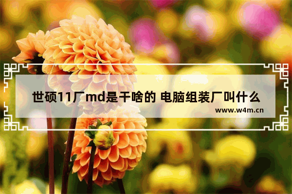 世硕11厂md是干啥的 电脑组装厂叫什么名字