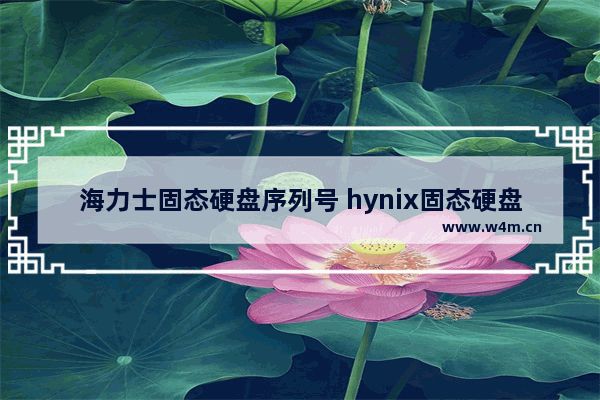 海力士固态硬盘序列号 hynix固态硬盘