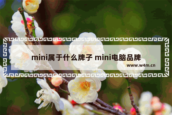 mini属于什么牌子 mini电脑品牌