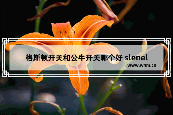 格斯顿开关和公牛开关哪个好 slenels是什么牌子开关