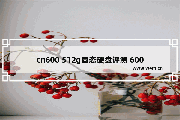 cn600 512g固态硬盘评测 600tbw固态够用吗