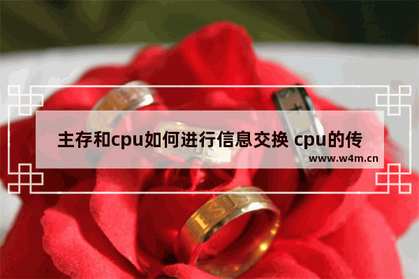 主存和cpu如何进行信息交换 cpu的传送数据