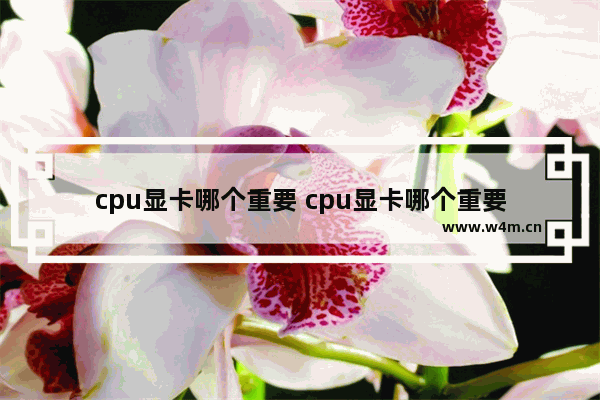 cpu显卡哪个重要 cpu显卡哪个重要