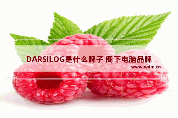 DARSILOG是什么牌子 阁下电脑品牌