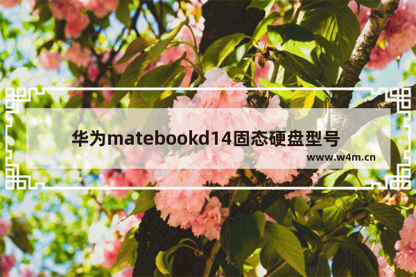 华为matebookd14固态硬盘型号 jd 固态硬盘