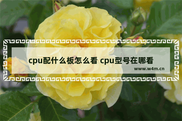 cpu配什么板怎么看 cpu型号在哪看