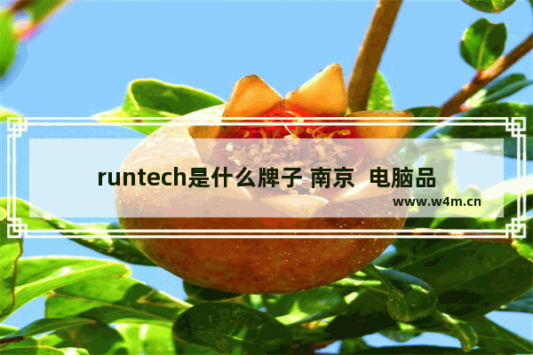 runtech是什么牌子 南京  电脑品牌