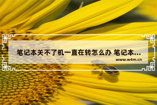 笔记本关不了机一直在转怎么办 笔记本电脑经常不关机