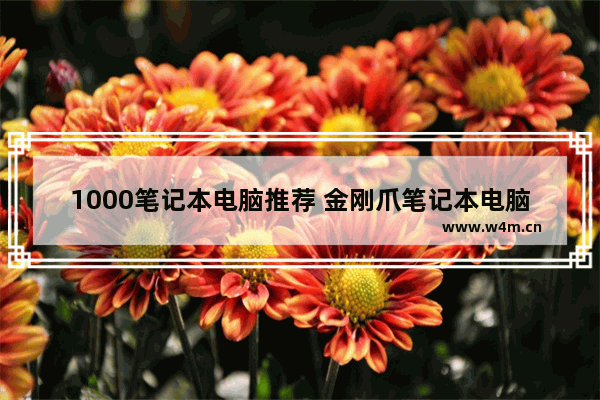 1000笔记本电脑推荐 金刚爪笔记本电脑1000多能买吗