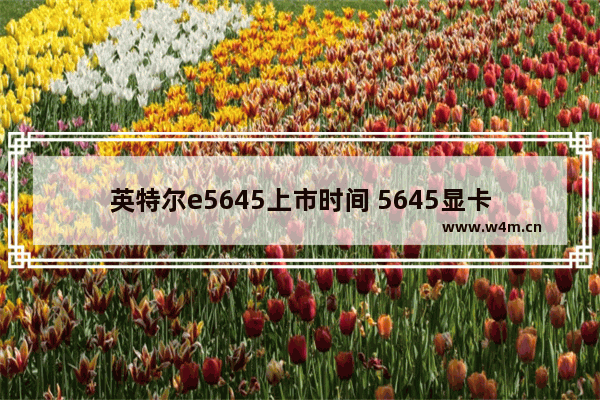 英特尔e5645上市时间 5645显卡