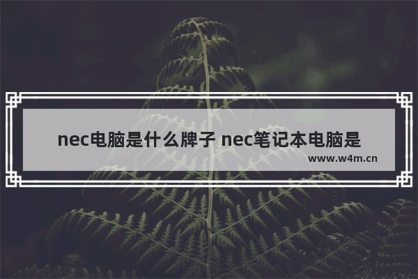 nec电脑是什么牌子 nec笔记本电脑是什么牌子