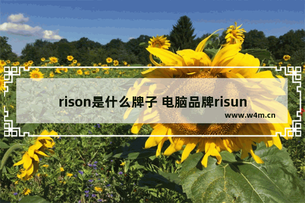 rison是什么牌子 电脑品牌risun