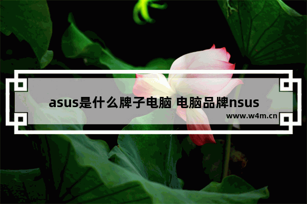 asus是什么牌子电脑 电脑品牌nsus