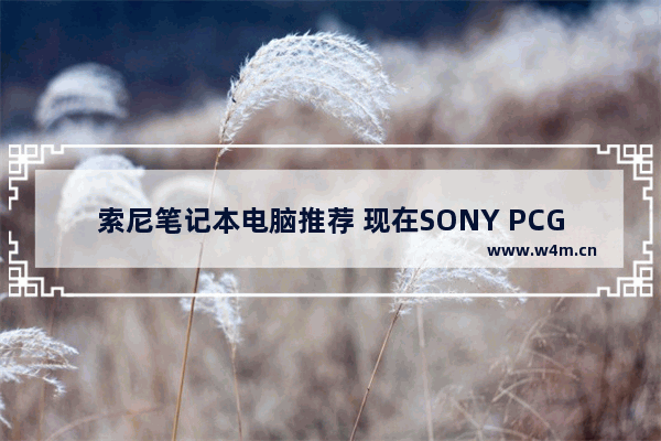 索尼笔记本电脑推荐 现在SONY PCG-6R1T的笔记本大概多少钱啊