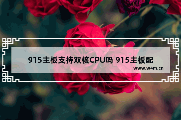 915主板支持双核CPU吗 915主板配什么电脑好