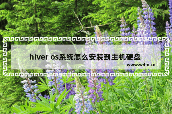 hiver os系统怎么安装到主机硬盘 固态硬盘hiveos