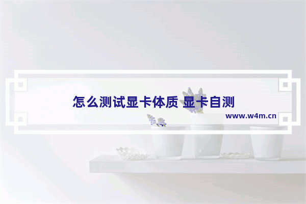 怎么测试显卡体质 显卡自测