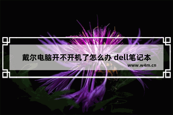 戴尔电脑开不开机了怎么办 dell笔记本电脑启动不了