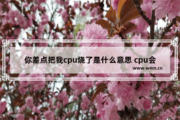 你差点把我cpu烧了是什么意思 cpu会被烧坏吗