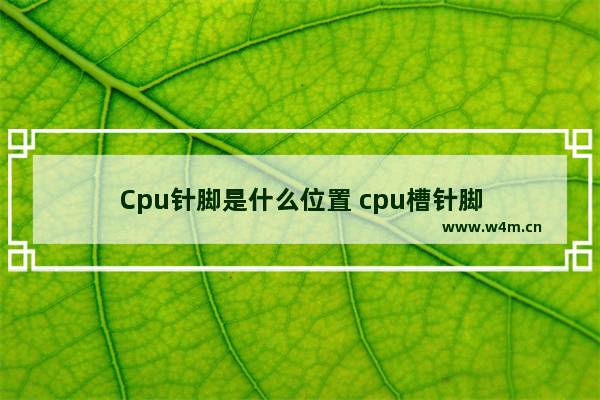 Cpu针脚是什么位置 cpu槽针脚