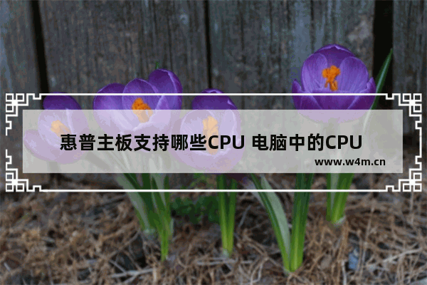 惠普主板支持哪些CPU 电脑中的CPU 内存 显卡 硬盘的意思和各自的作用是什么