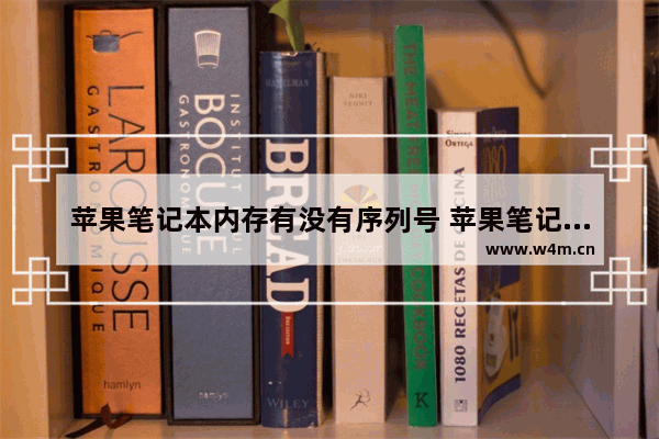 苹果笔记本内存有没有序列号 苹果笔记本外包装盒子都有哪些标识