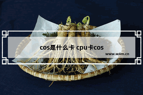 cos是什么卡 cpu卡cos