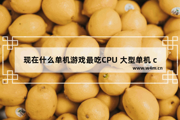 现在什么单机游戏最吃CPU 大型单机 cpu