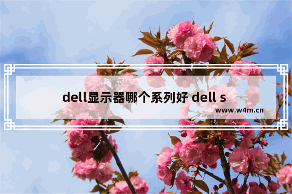 dell显示器哪个系列好 dell s 显示器